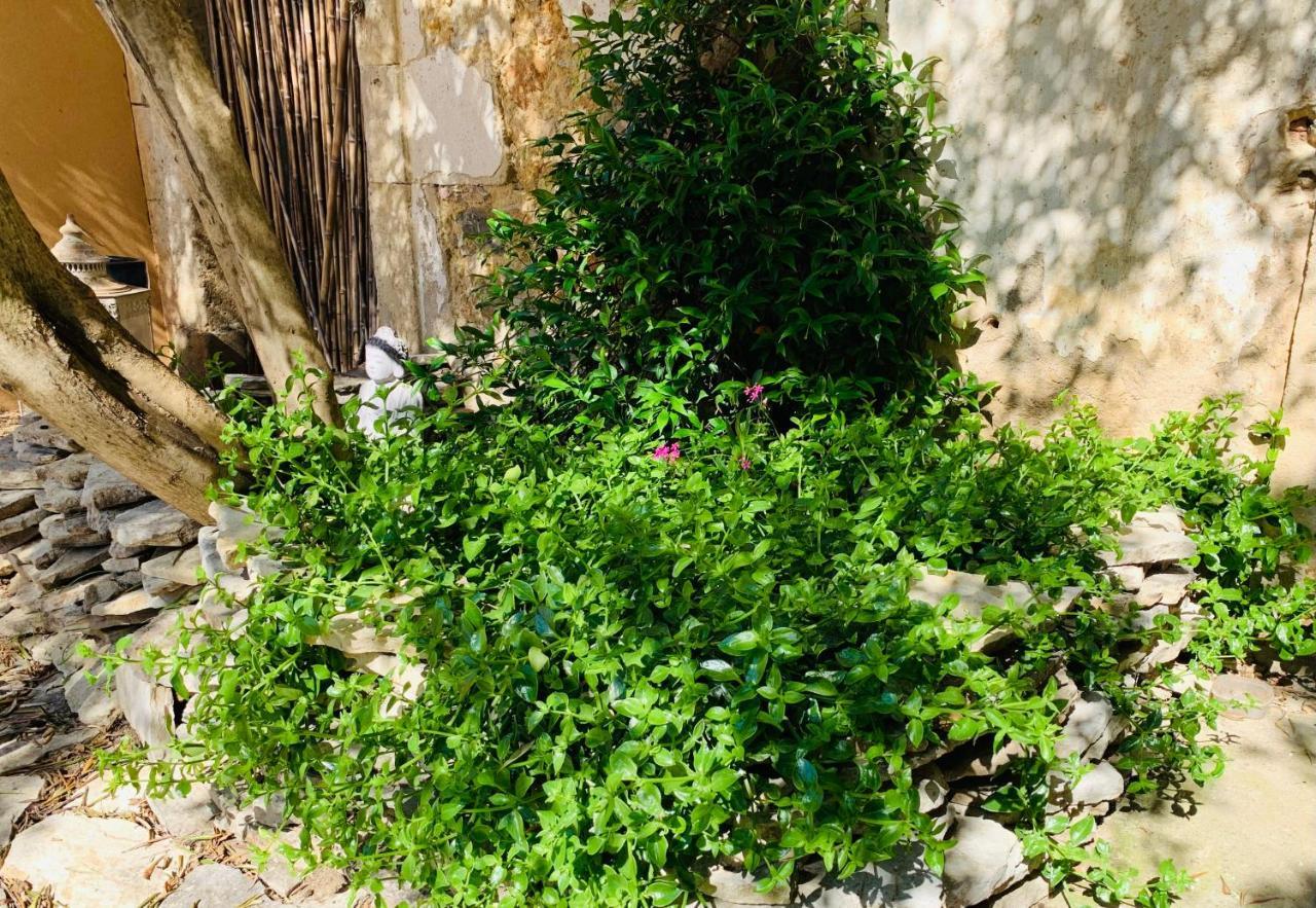 Appartement Avec Jardin Privatif Cazouls-lès-Béziers Exterior foto